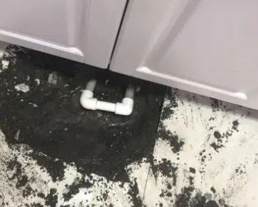 新平查漏水哪家好