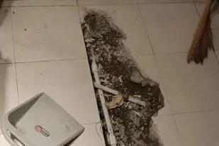 新平卫生间漏水检测电话